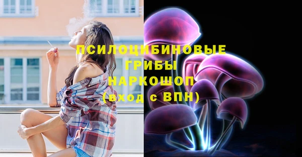 apvp Сосновый Бор