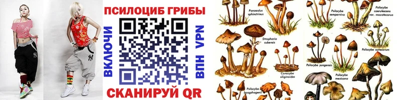 Галлюциногенные грибы мухоморы  хочу наркоту  Михайловск 
